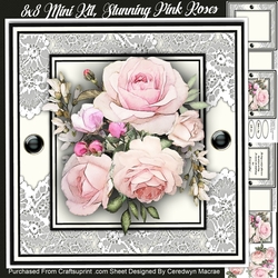 8x8 Mini Kit, Beautiful Pink Roses
