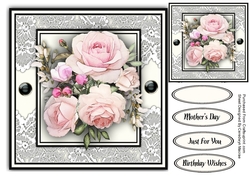 8x8  Beautiful Pink Roses