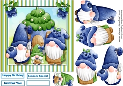 7X7, Blueberry Gnomes