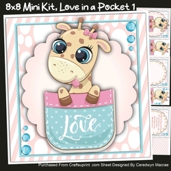 8x8 Mini Kit, Love in a Pocket 1