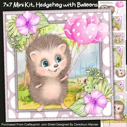 7x7 Gorgeous Hedgehog  and Gift Bag