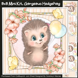 8X8 Mini Kit,Gogeous Hedgehog
