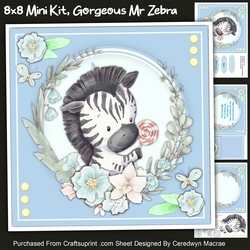 8x8 Mini Kit Gorgeous Mr Zebra