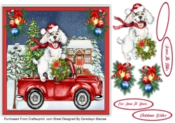 Happy Christmas Dog