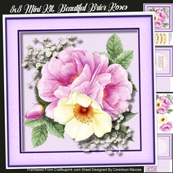 8x8 Mini Kit, Beautiful Brier Roses