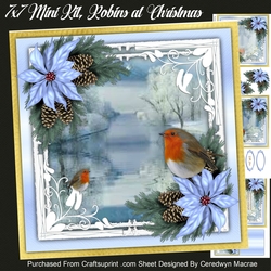 7x7 Mini Kit, Robins at Christmas