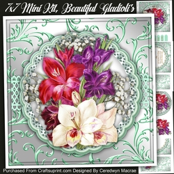 7x7 Mini KIt, Beautiful Gladiolis