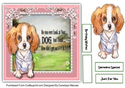 7x7 Puppy Tails 3