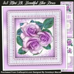 8x8 Miini It, Beautiful Lilac Roses