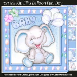 7x7 Mini Kit, Ellis Balloon Fun , Boy