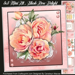 8x8 Mini Kit, Blush Rose Delight