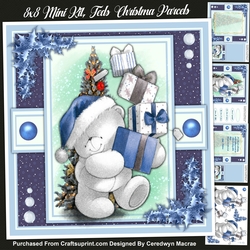 8x8 mini Kit, Teds Christma Parcels