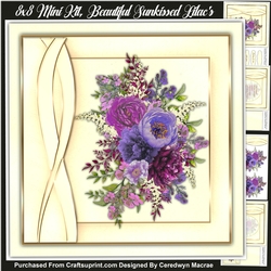 8x8 Mini Kit , Beautiful Sunkissed Lilacs 