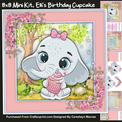 8x8 Mini Kit, Ellis Birthday Cupcake