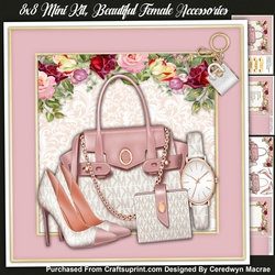 8x8 Mini Kit , Beautiful Female Accessories