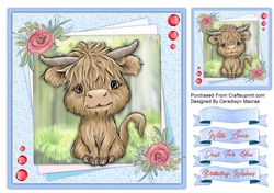 8x8 Adorable Highland Coo