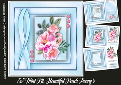 7x7 Mini Kit, Beautiful Peach Peonys