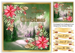 8x8 Beautiful Poinsettias in The Snow