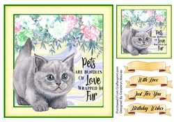 8x8 Beautiful Grey Kitten with Quote