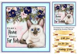 8x8 Beautiful Persian Kitten with Quote
