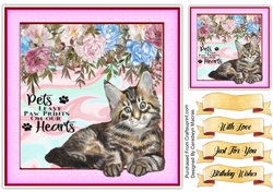 8x8 Beautiful Tabby Kitten with Quote