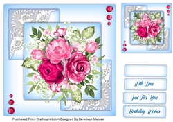 7.5x7.5 Beautiful Hot Pink Roses