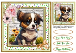 8x8 Beautiful Border Collie