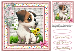 8x8 Beautiful Jack Russell