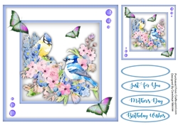 8x8 Quick Cards Beautiful Jays 1