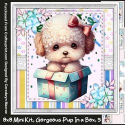 8x8 Mini Kit , Gorgeous Pup in a Box 5