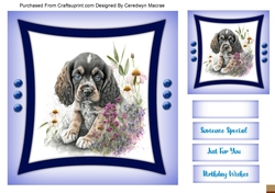7x7 Quick Card , Gorgeous American Cocker Spaniel