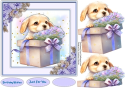 7x7 Beautiful Pup with a Gift Box