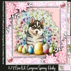 7x Mini Kit, Gorgeous Spring Husky