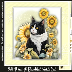 8x8 Mini Kit, Beautiful Tuxedo Cat