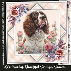 8x8 Mini Kit, Beautiful Springer Spaniel