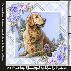 8x8 Mini Kit, Beautiful Golden Labrador