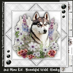 8x8 Mini Kit, Beautiful Wild Husky