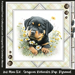 8x8 Mini Kit, Gorgeous Rottweiler Pup. Pyramid