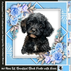 8x8 Mini Kit  Beautiful Black Poodle with Roses