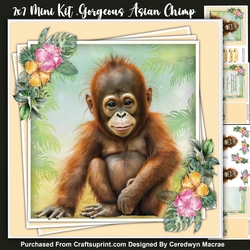 7x7 Mini Kit Gorgeous  Asian Chimp 