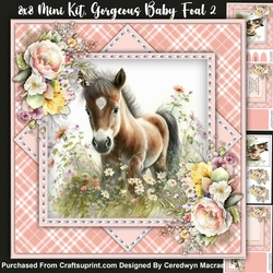 8x8 Mini Kit, Gorgeous Baby Foal 2