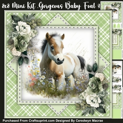 8x8 Mini Kit, Gorgeous Baby Foal 3