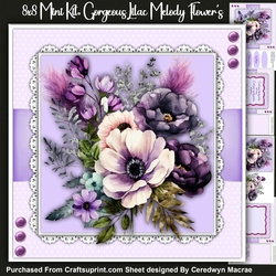 8x8 Mini Kit, Gorgeous Lilac Melody Roses