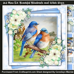 8x8 Mini Kit ,Beautiful Bluebirds and White Roses