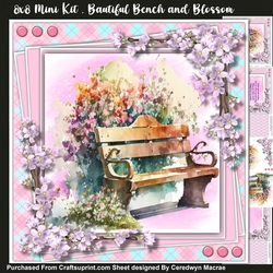 8x8 Mini Kit , Beautiful Bench And Blossom