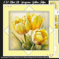 8x8 Mini Kit, Gorgeous Yellow Tulips , Pyramid 1
