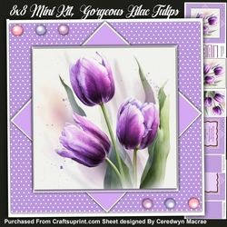 8x8 Mini Kit, Gorgeous Lilac Tulips , Pyramid 3