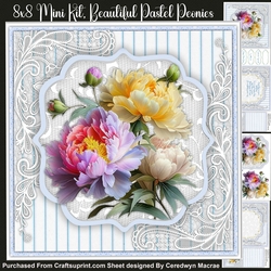 8x8 Mini Kit, Beautiful Pastel Peonies