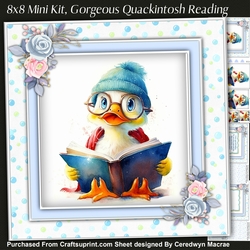 8x8 Mini Kit, Gorgeous Quackintosh Reading , Pyramid