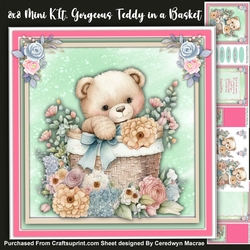 8x8 Mini Kit, Gorgeous Teddy in a Basket , 1
